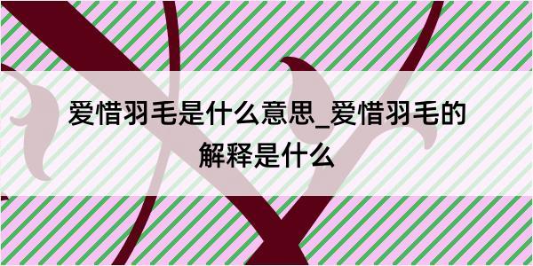 爱惜羽毛是什么意思_爱惜羽毛的解释是什么