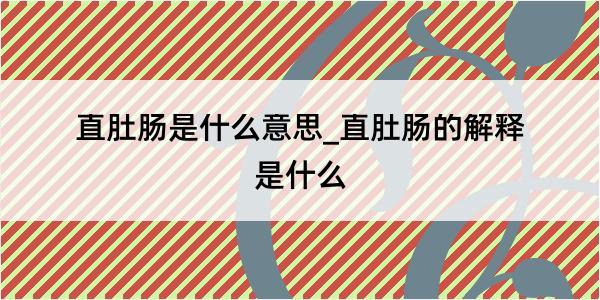 直肚肠是什么意思_直肚肠的解释是什么