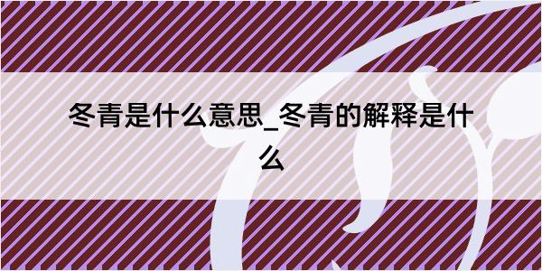 冬青是什么意思_冬青的解释是什么