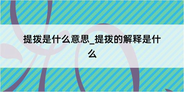 提拨是什么意思_提拨的解释是什么