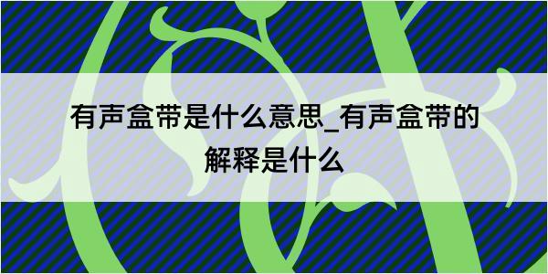 有声盒带是什么意思_有声盒带的解释是什么