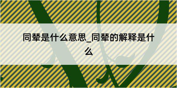 同辇是什么意思_同辇的解释是什么