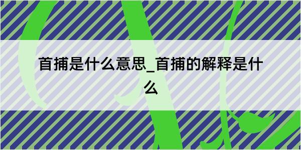 首捕是什么意思_首捕的解释是什么