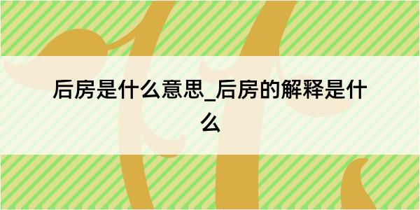 后房是什么意思_后房的解释是什么