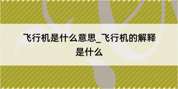 飞行机是什么意思_飞行机的解释是什么