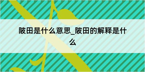 陂田是什么意思_陂田的解释是什么