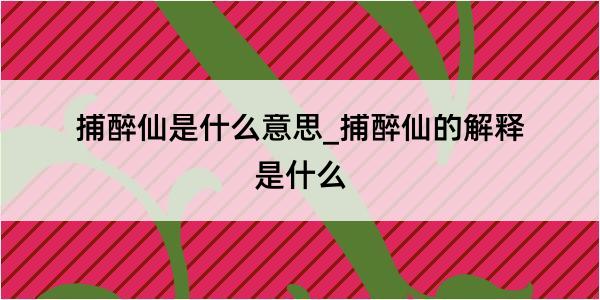 捕醉仙是什么意思_捕醉仙的解释是什么