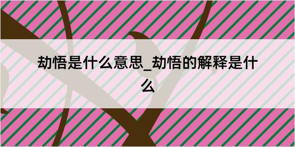 劫悟是什么意思_劫悟的解释是什么