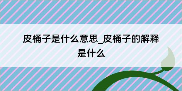 皮桶子是什么意思_皮桶子的解释是什么