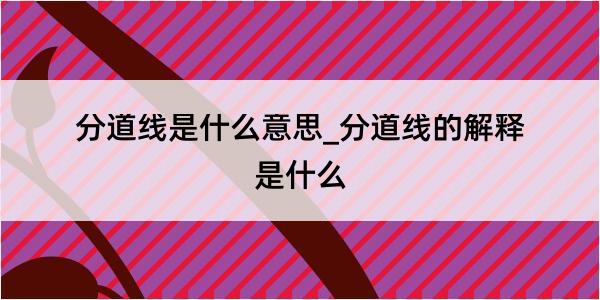 分道线是什么意思_分道线的解释是什么