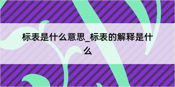 标表是什么意思_标表的解释是什么