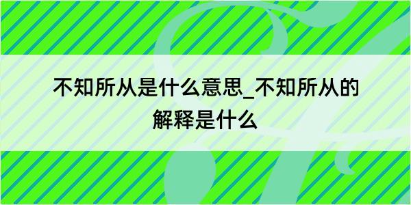 不知所从是什么意思_不知所从的解释是什么