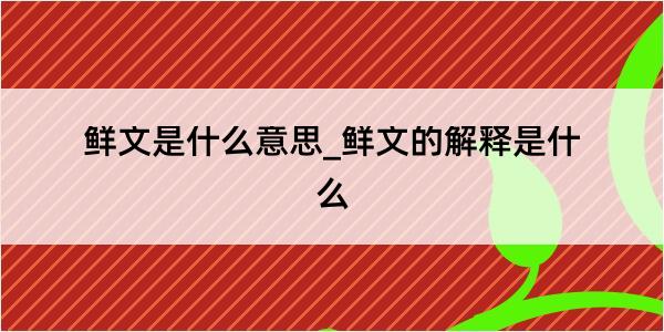 鲜文是什么意思_鲜文的解释是什么