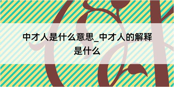 中才人是什么意思_中才人的解释是什么