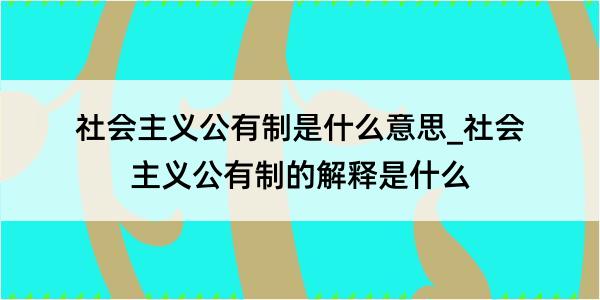 社会主义公有制是什么意思_社会主义公有制的解释是什么