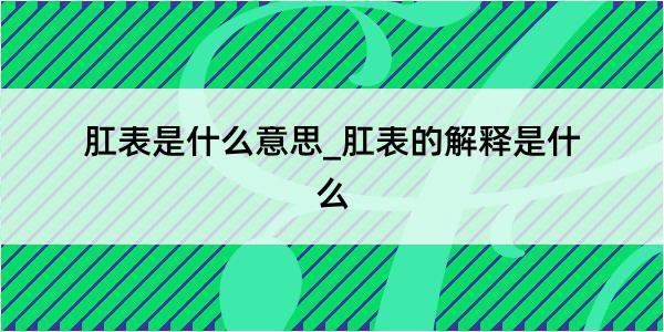 肛表是什么意思_肛表的解释是什么