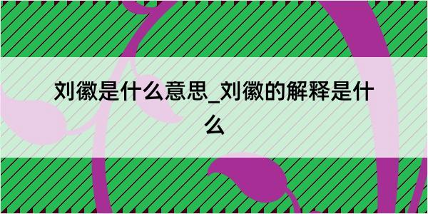 刘徽是什么意思_刘徽的解释是什么