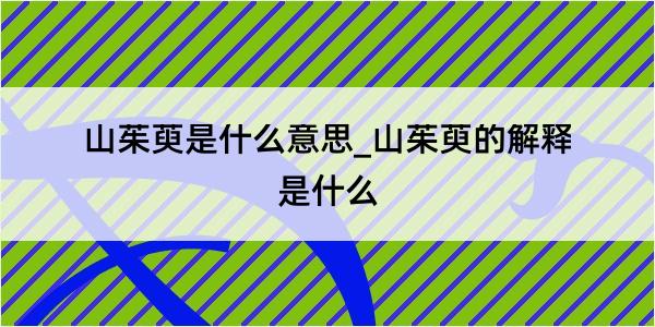 山茱萸是什么意思_山茱萸的解释是什么