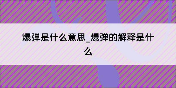 爆弹是什么意思_爆弹的解释是什么