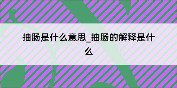 抽肠是什么意思_抽肠的解释是什么