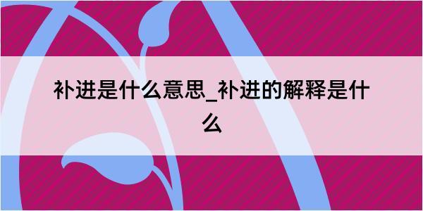 补进是什么意思_补进的解释是什么