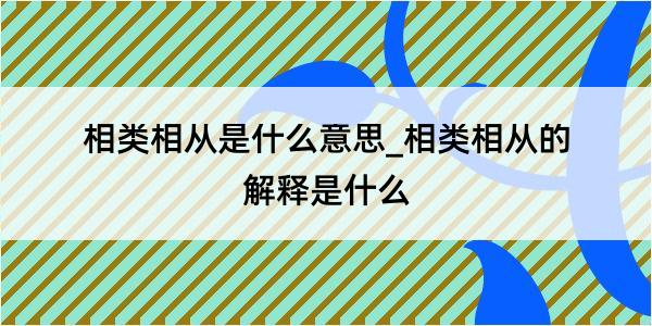 相类相从是什么意思_相类相从的解释是什么