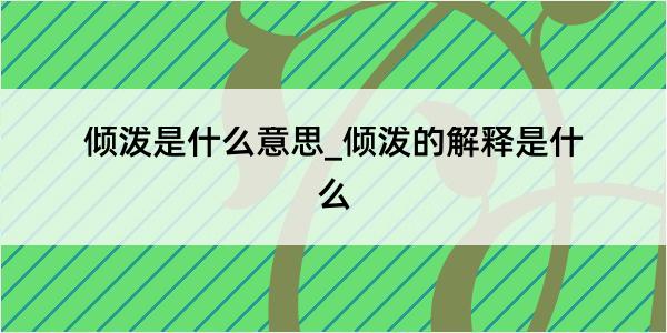 倾泼是什么意思_倾泼的解释是什么