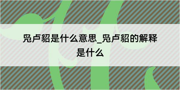 凫卢貂是什么意思_凫卢貂的解释是什么