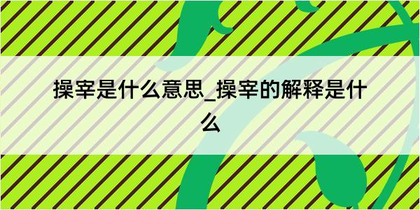 操宰是什么意思_操宰的解释是什么