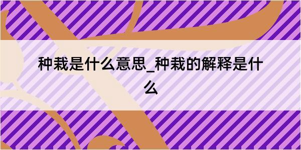 种栽是什么意思_种栽的解释是什么