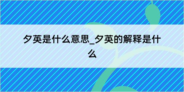 夕英是什么意思_夕英的解释是什么