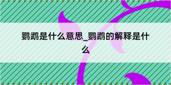 鹦鹉是什么意思_鹦鹉的解释是什么