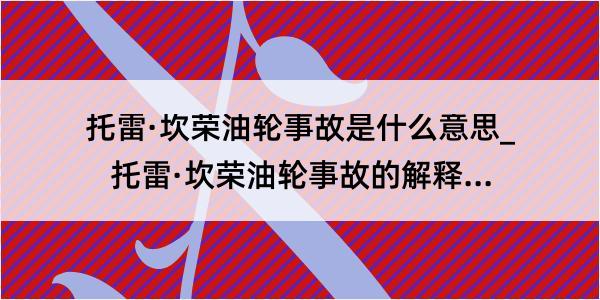 托雷·坎荣油轮事故是什么意思_托雷·坎荣油轮事故的解释是什么