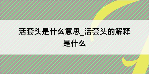 活套头是什么意思_活套头的解释是什么