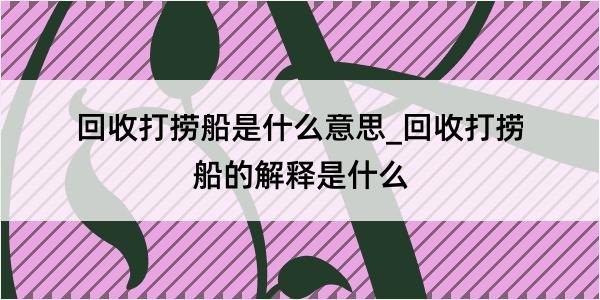 回收打捞船是什么意思_回收打捞船的解释是什么