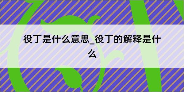 役丁是什么意思_役丁的解释是什么