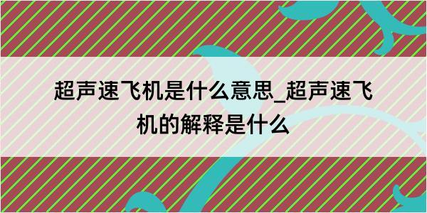 超声速飞机是什么意思_超声速飞机的解释是什么