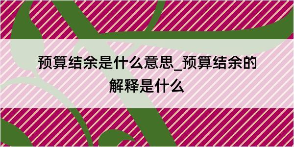 预算结余是什么意思_预算结余的解释是什么