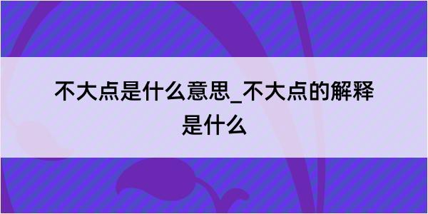 不大点是什么意思_不大点的解释是什么