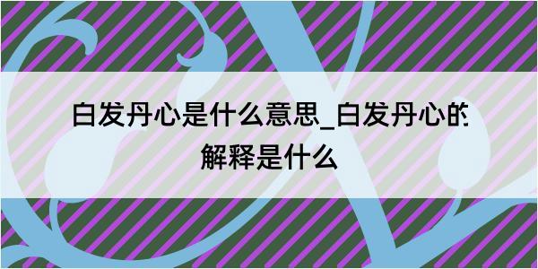 白发丹心是什么意思_白发丹心的解释是什么