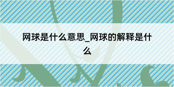 网球是什么意思_网球的解释是什么