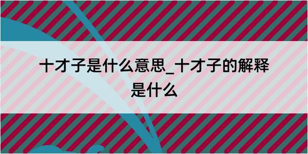 十才子是什么意思_十才子的解释是什么