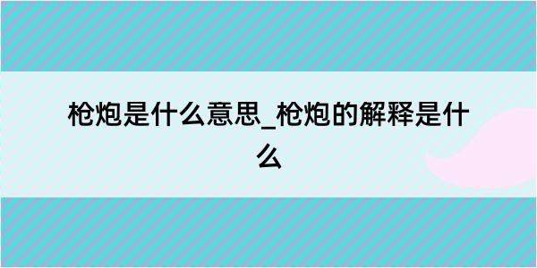 枪炮是什么意思_枪炮的解释是什么