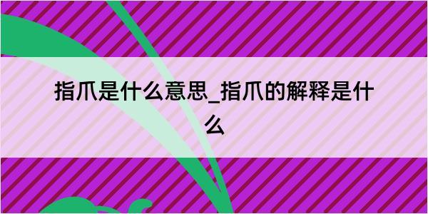 指爪是什么意思_指爪的解释是什么