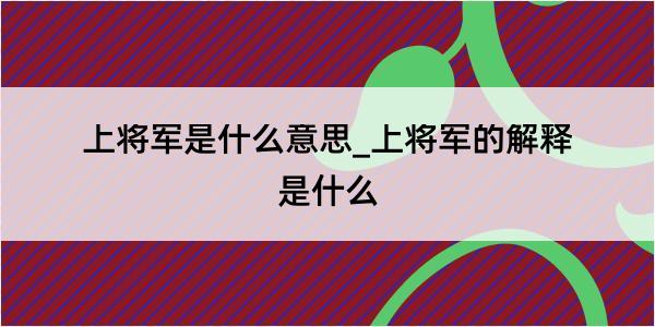 上将军是什么意思_上将军的解释是什么