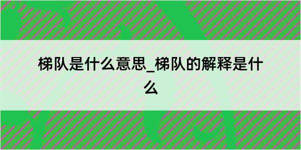 梯队是什么意思_梯队的解释是什么