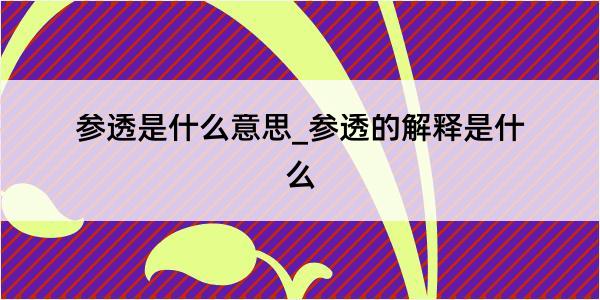 参透是什么意思_参透的解释是什么