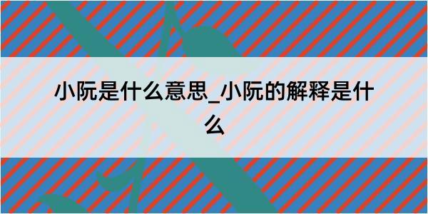 小阮是什么意思_小阮的解释是什么