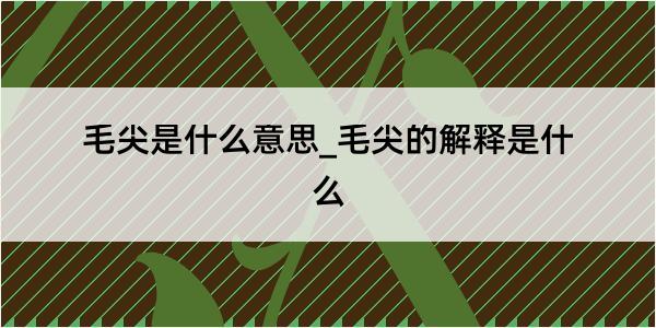 毛尖是什么意思_毛尖的解释是什么