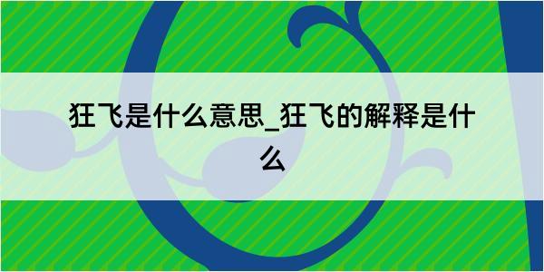 狂飞是什么意思_狂飞的解释是什么